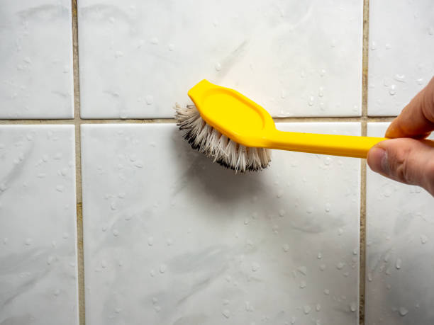 Best Home Mold Removal  in Felida, WA