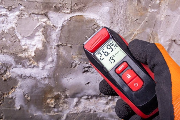 Best Commercial Mold Removal  in Felida, WA