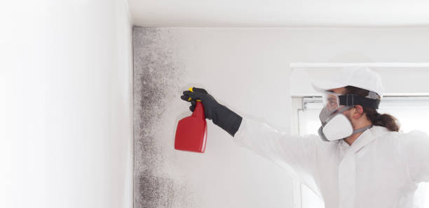 Best Mold Testing  in Felida, WA